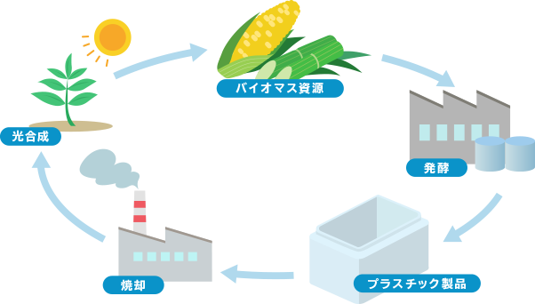 植物を原材料とした「バイオプラスチック発泡体」の研究開発・用途開発